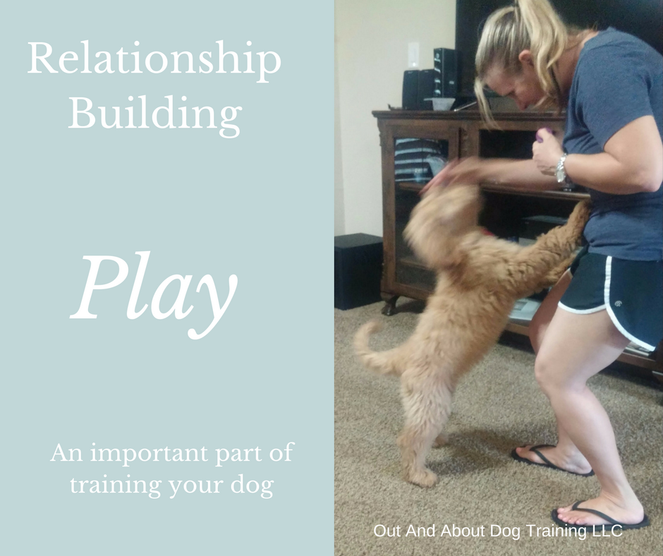 Play to Train Your Dog